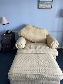 Gross stained furniture