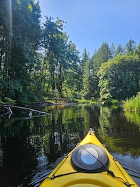 Quiet cove near the property