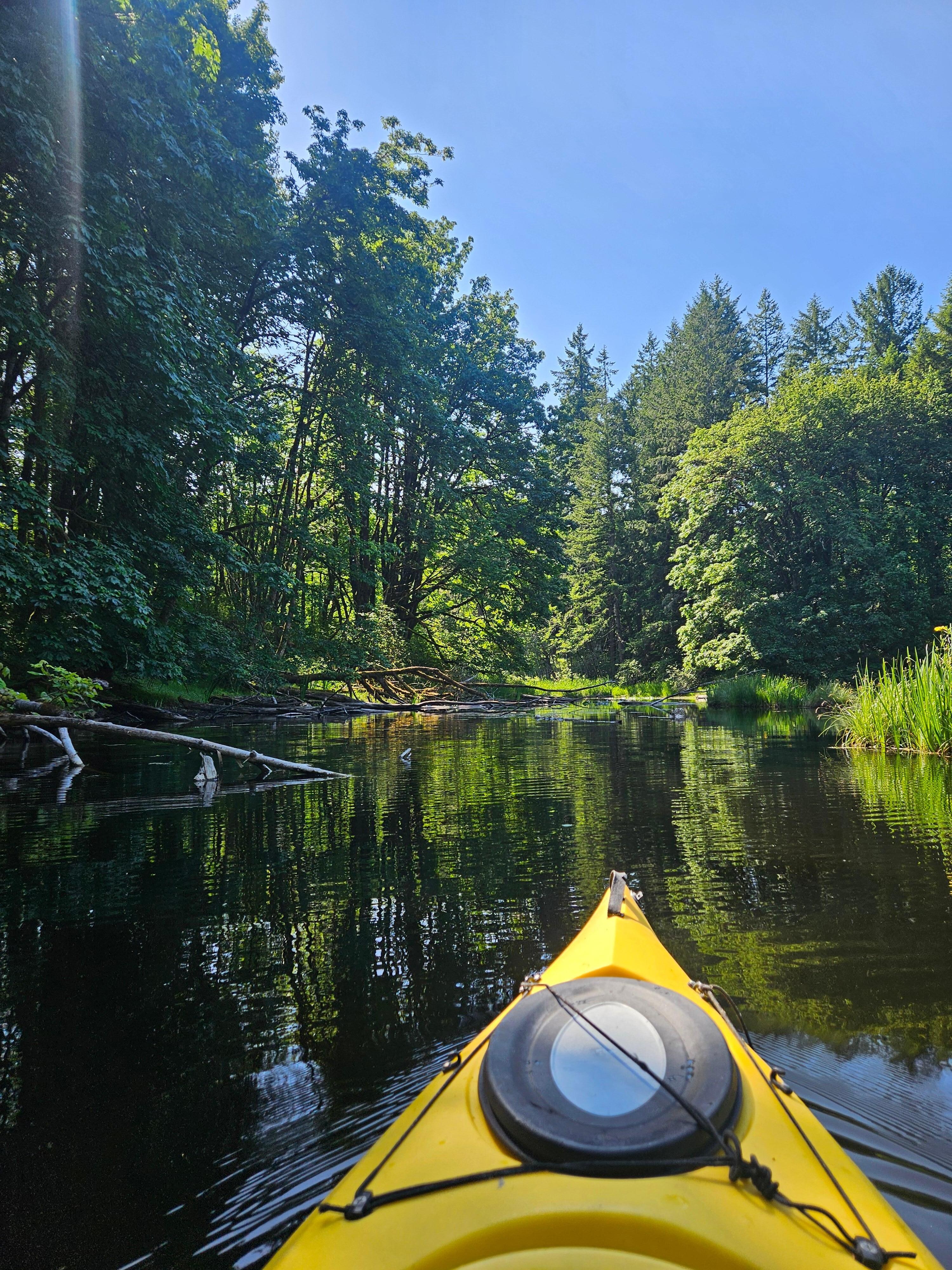 Quiet cove near the property