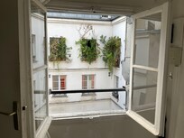 View out the kitchen window