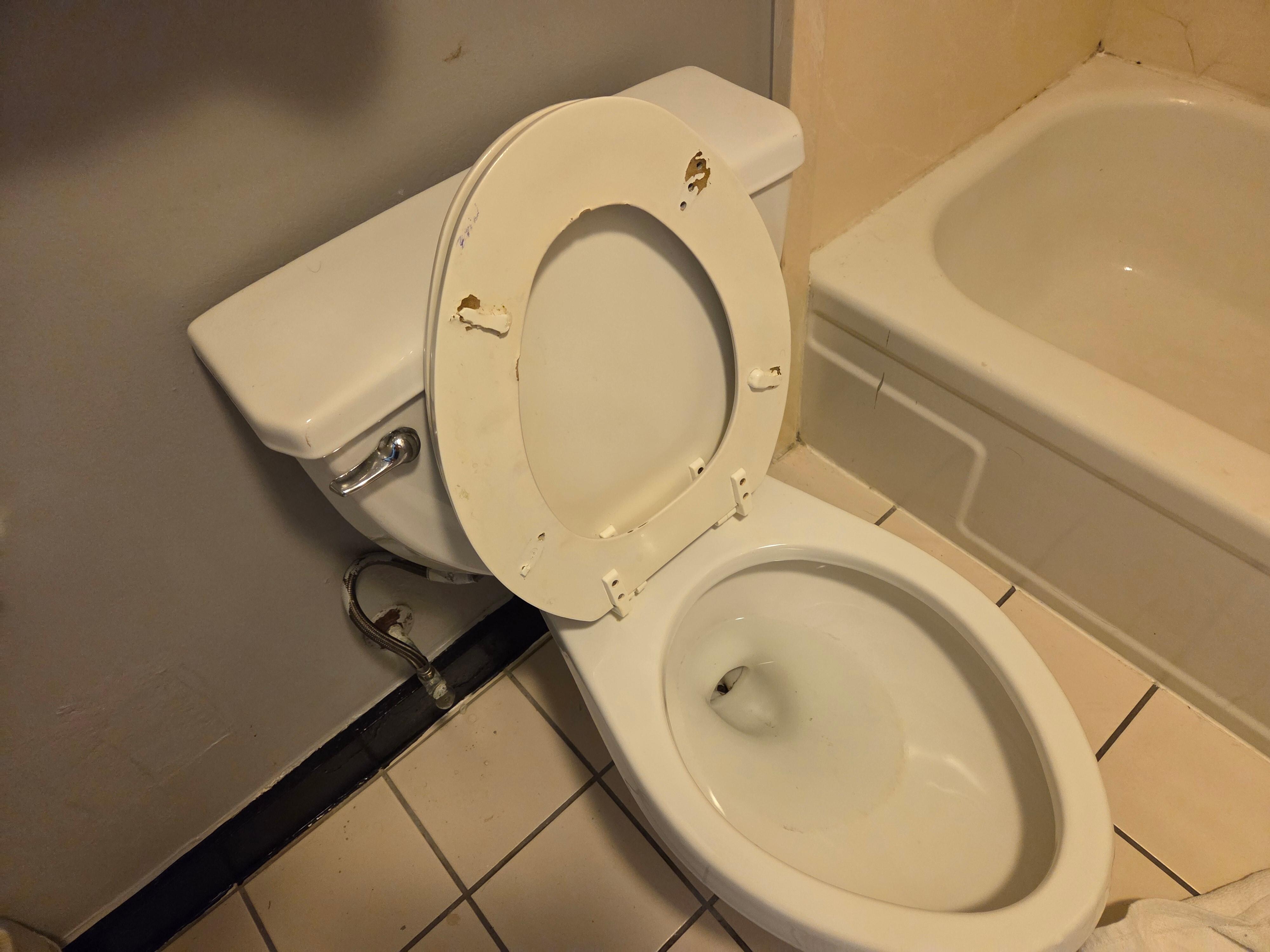 Broken toilet seat