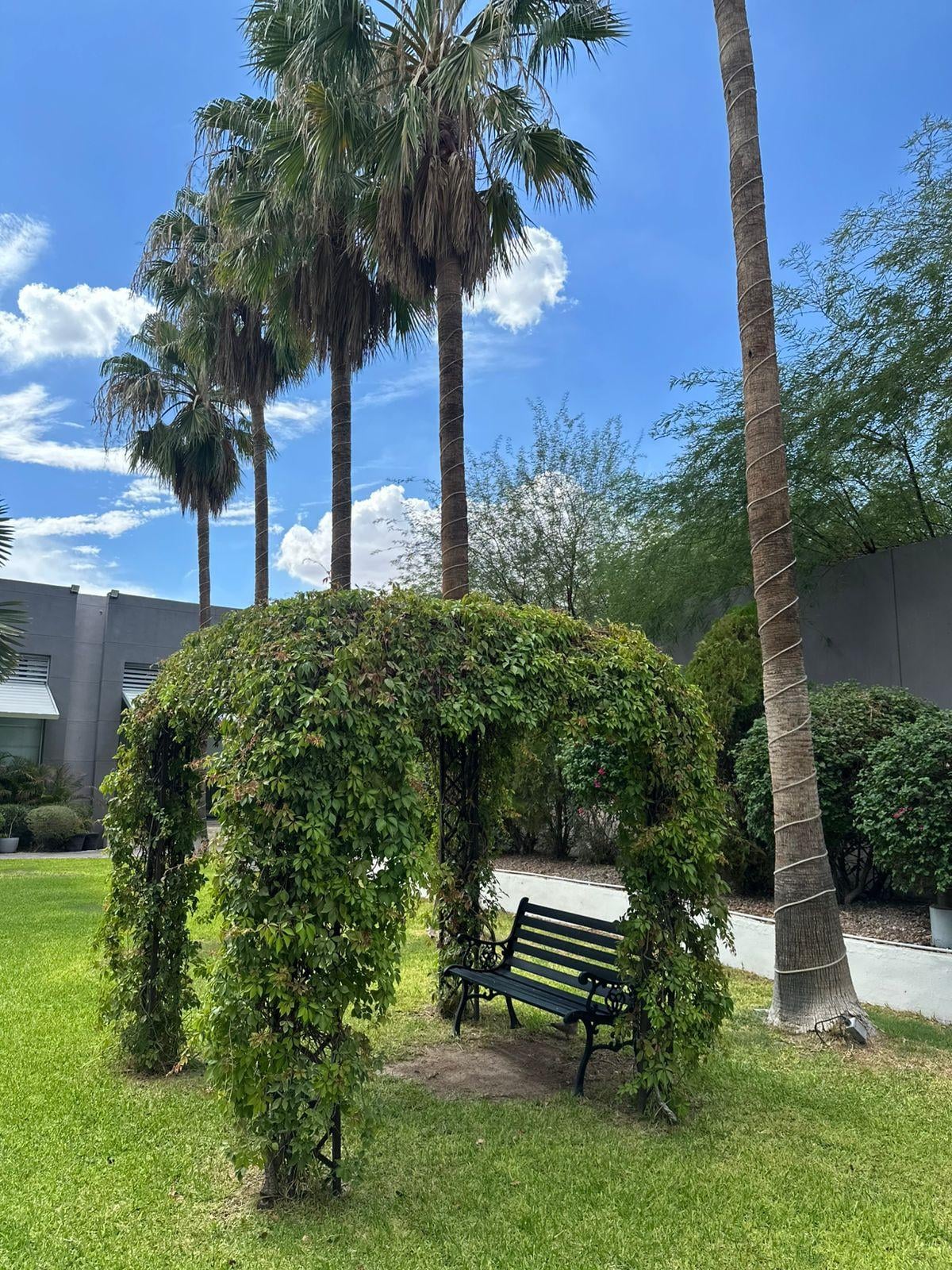 Jardín de la alberca