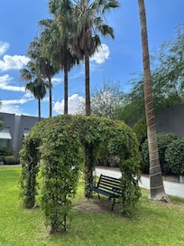 Jardín de la alberca