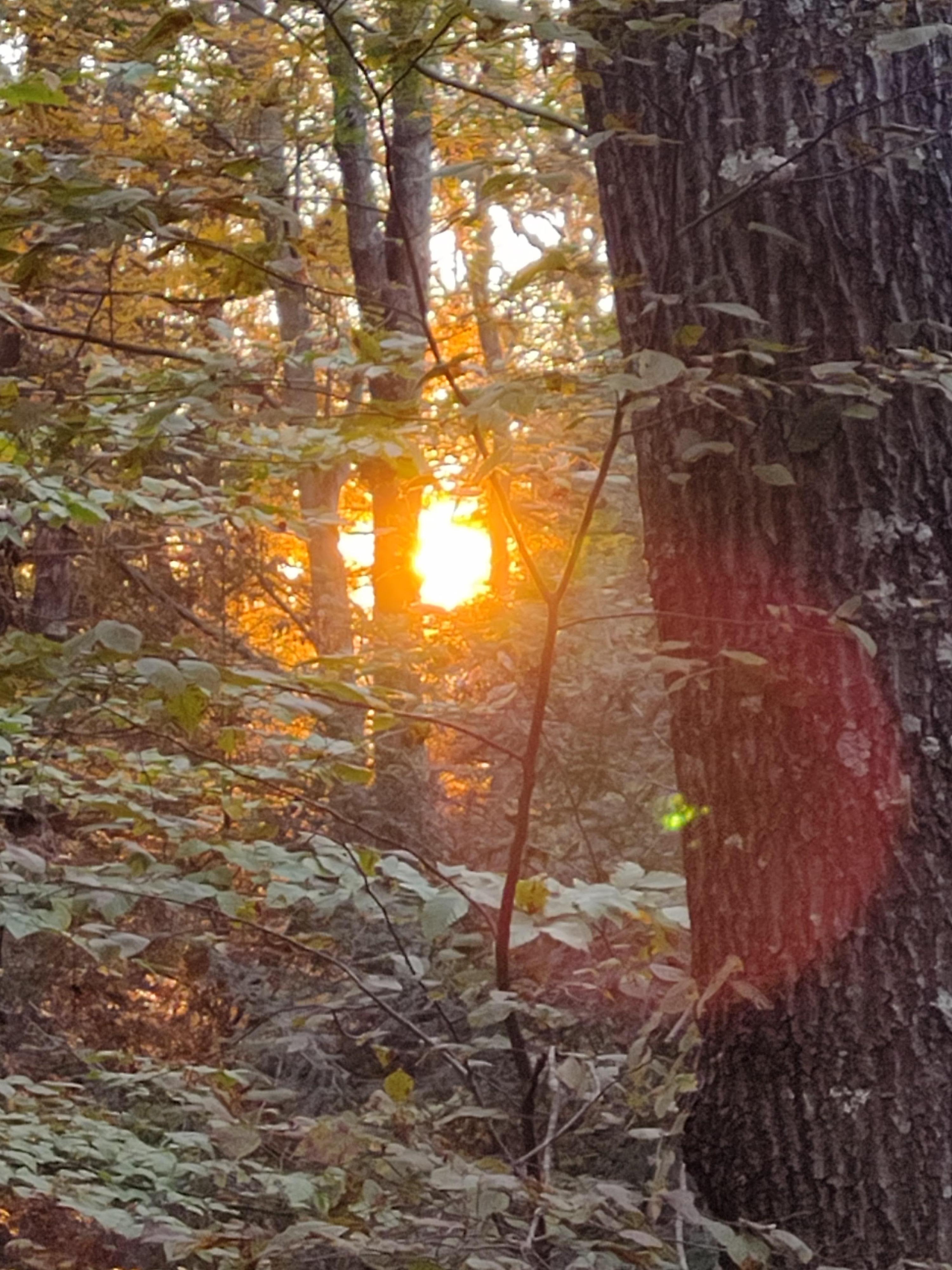 A beautiful sunrise. An amazing view for it on the deck while you drink your coffee .