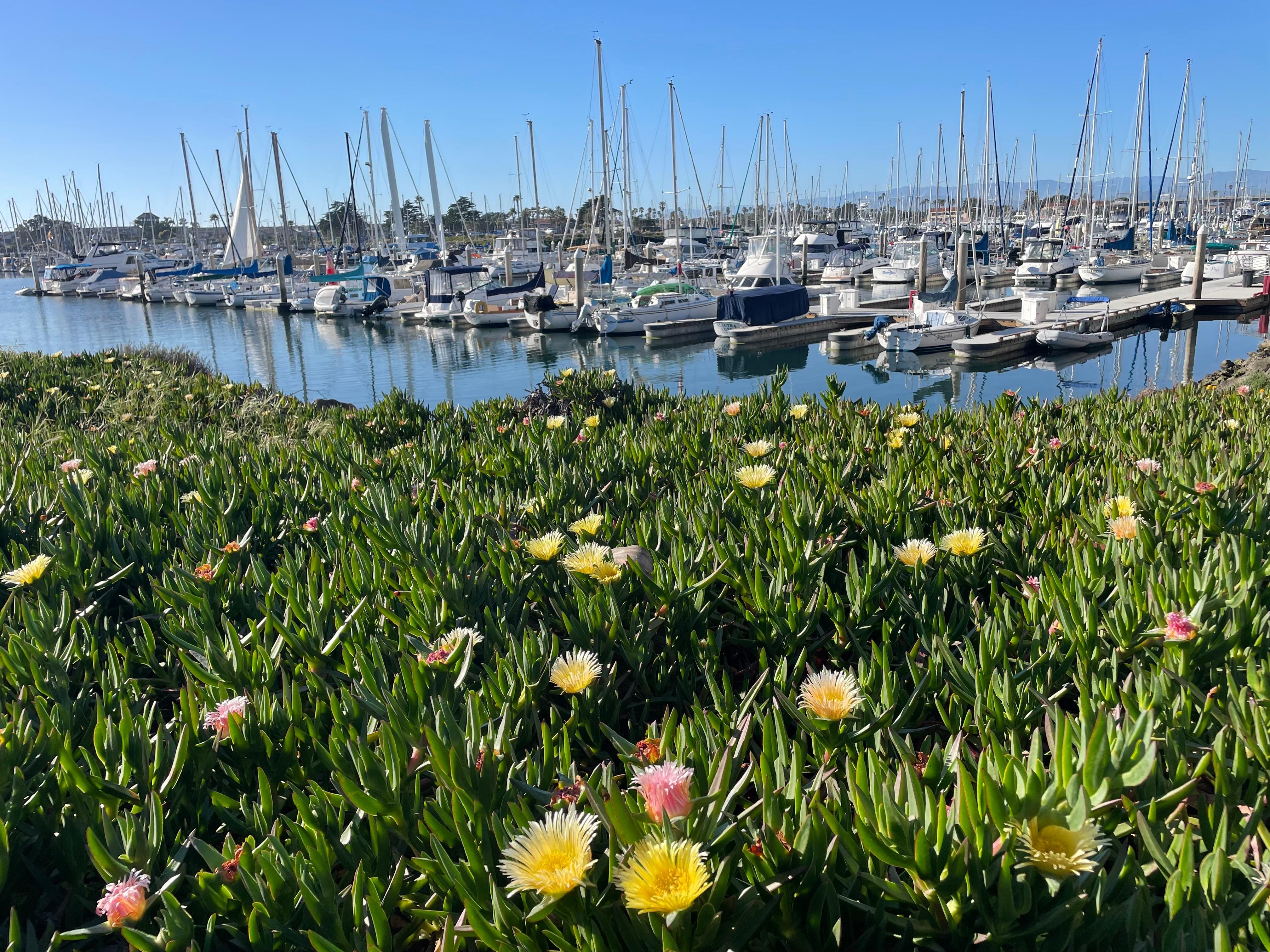 Walking around outside 