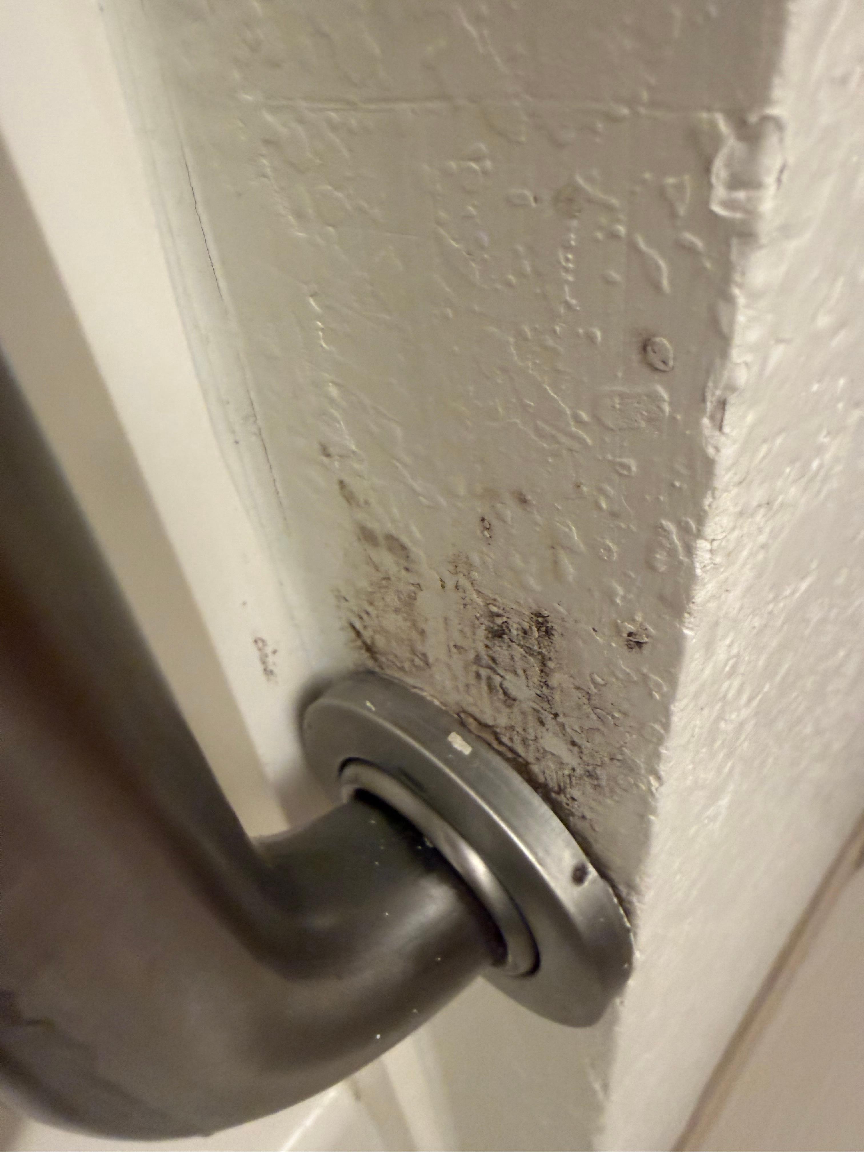 Concerning black mold like growth in the bathroom 
