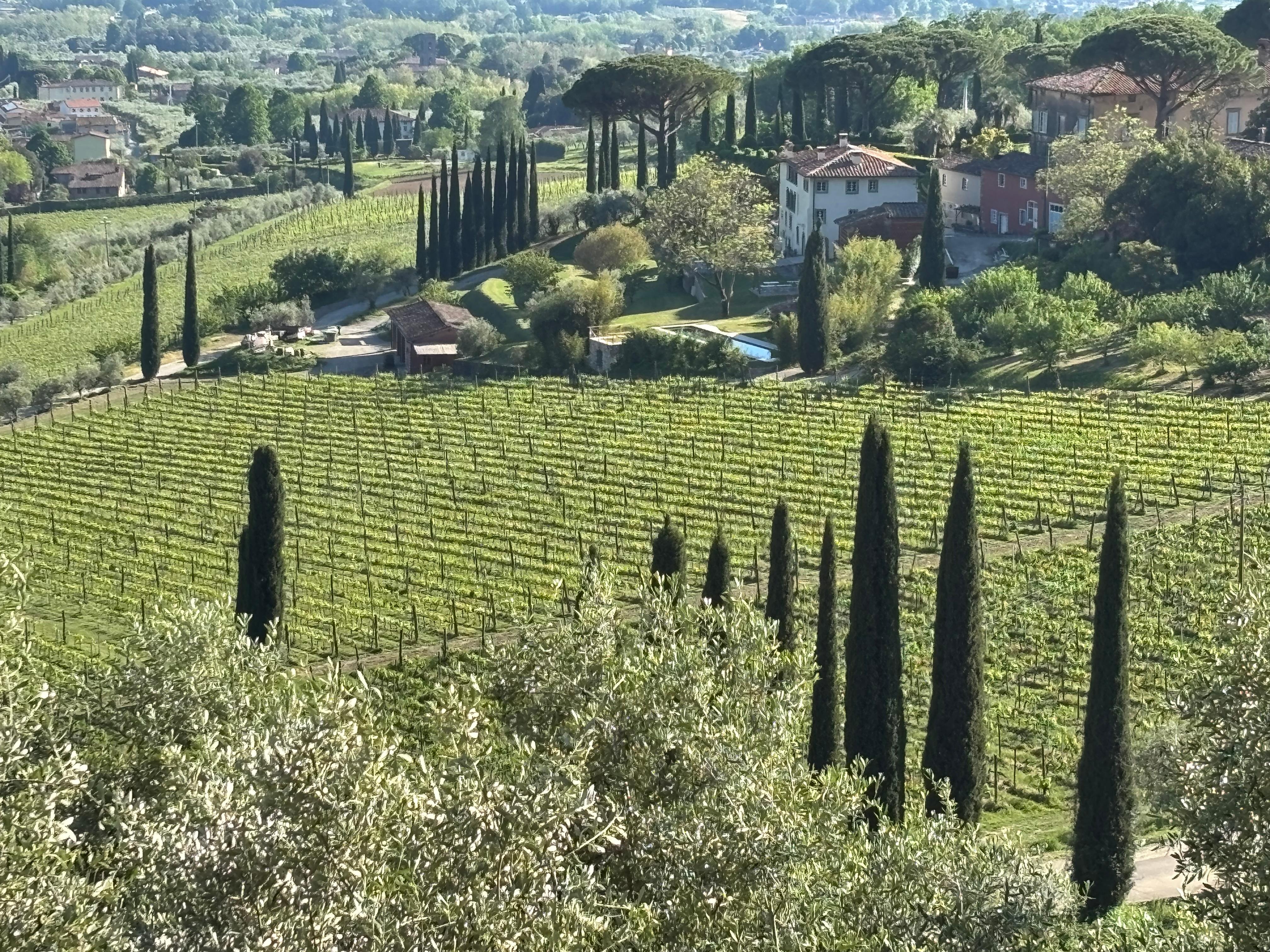 View from the villa. Most beautiful view of Tuscany. 
