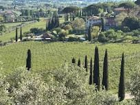 View from the villa. Most beautiful view of Tuscany.