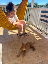 Hammock and local visitor.