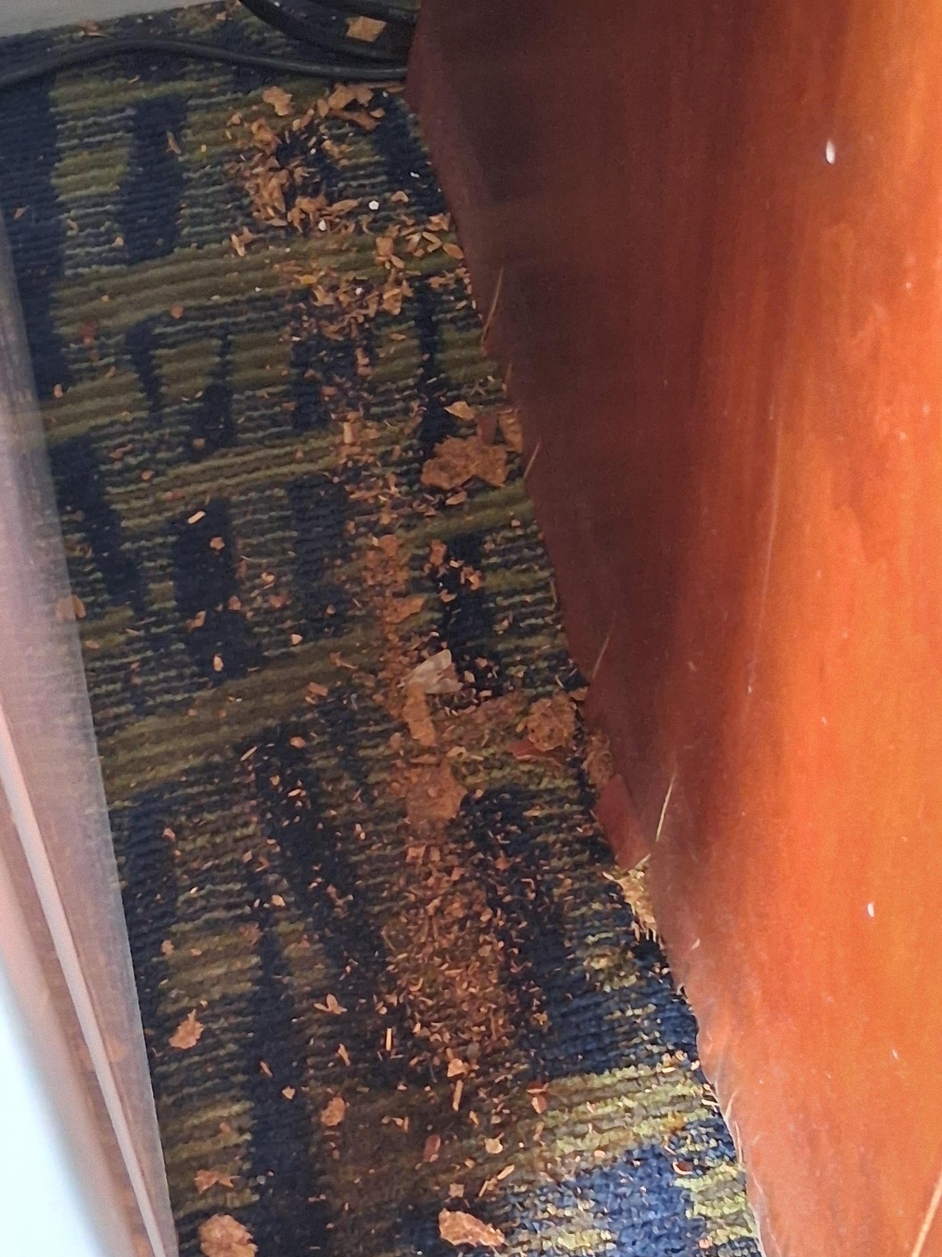 Between furniture the dress its literally falling apart and has not been cleaned between furniture 