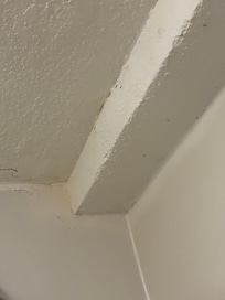 Mold