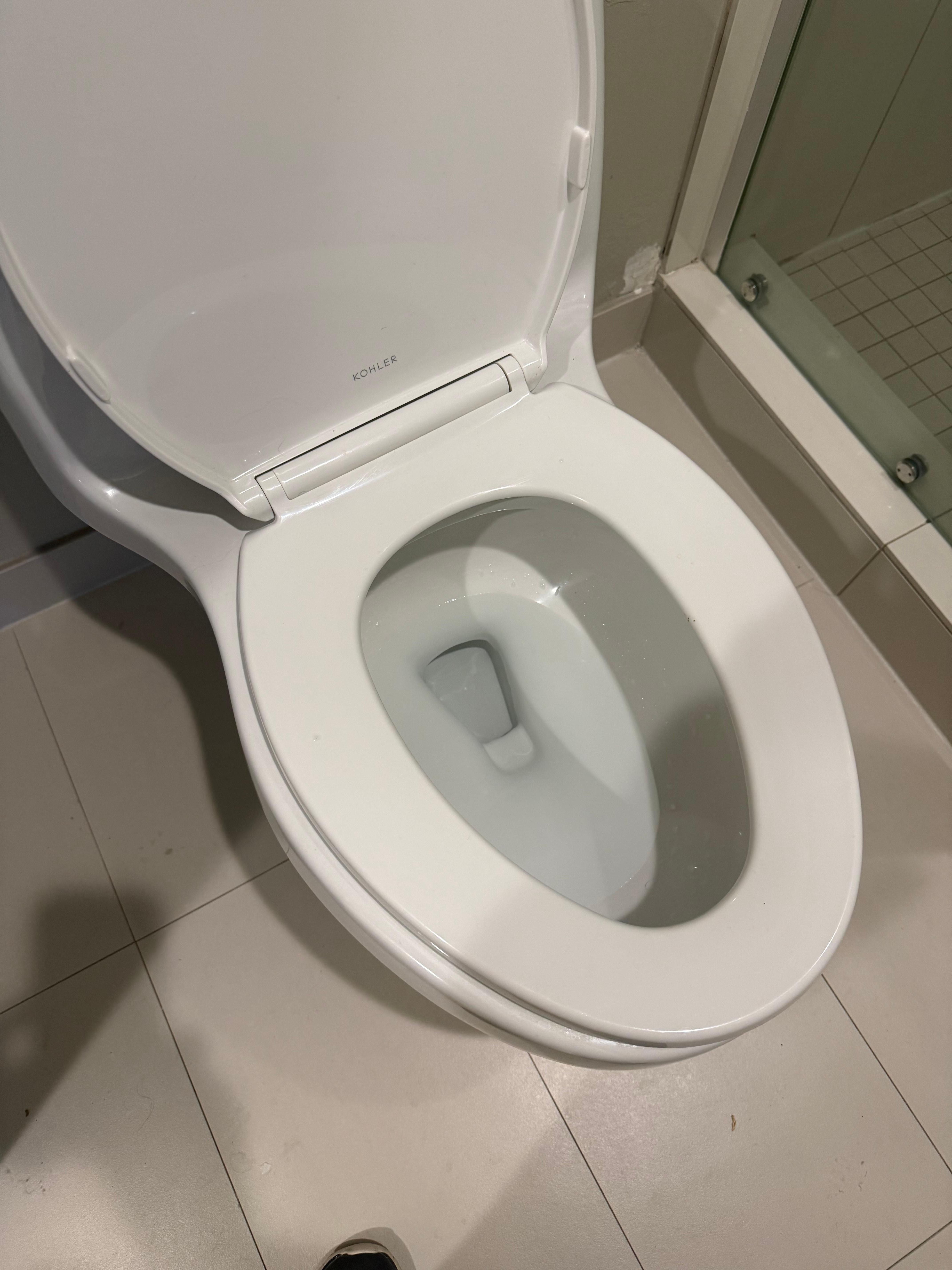 Broken toilet seat