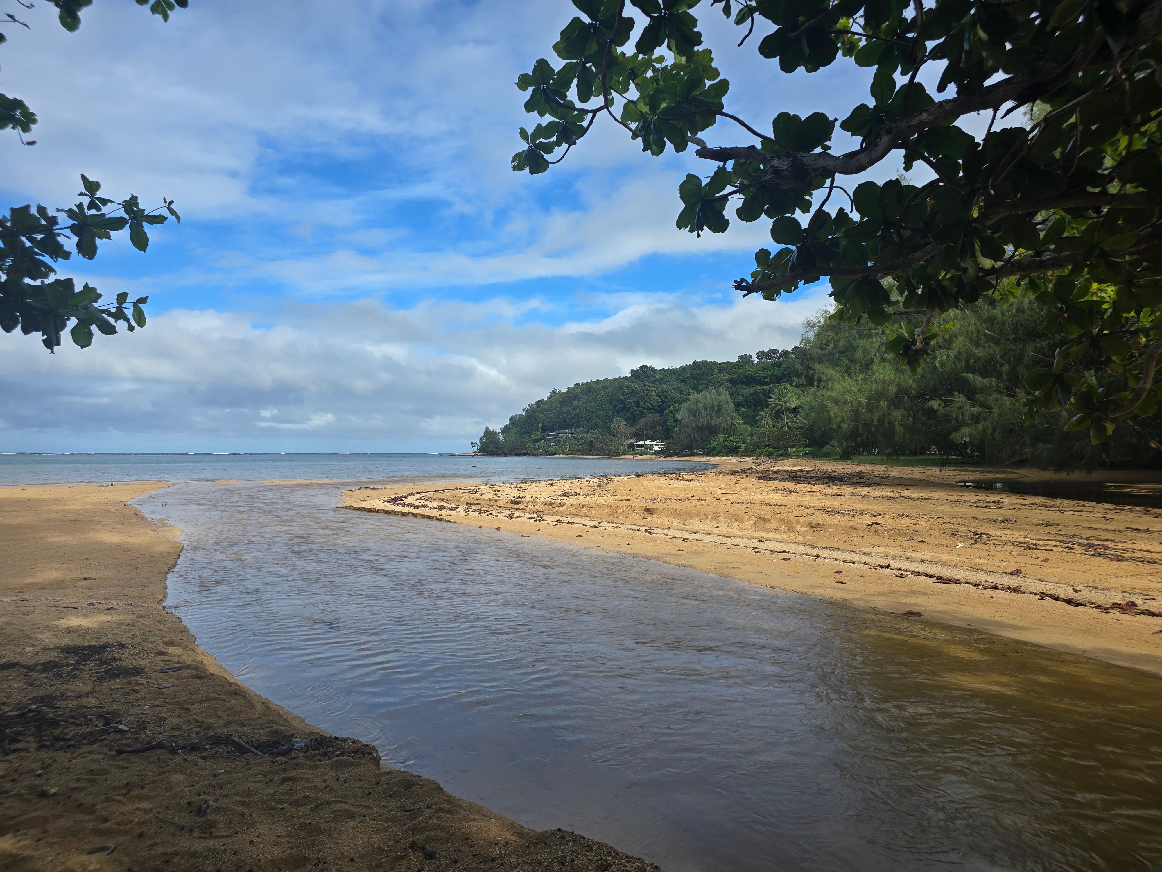 Anini beach down trail from princeville