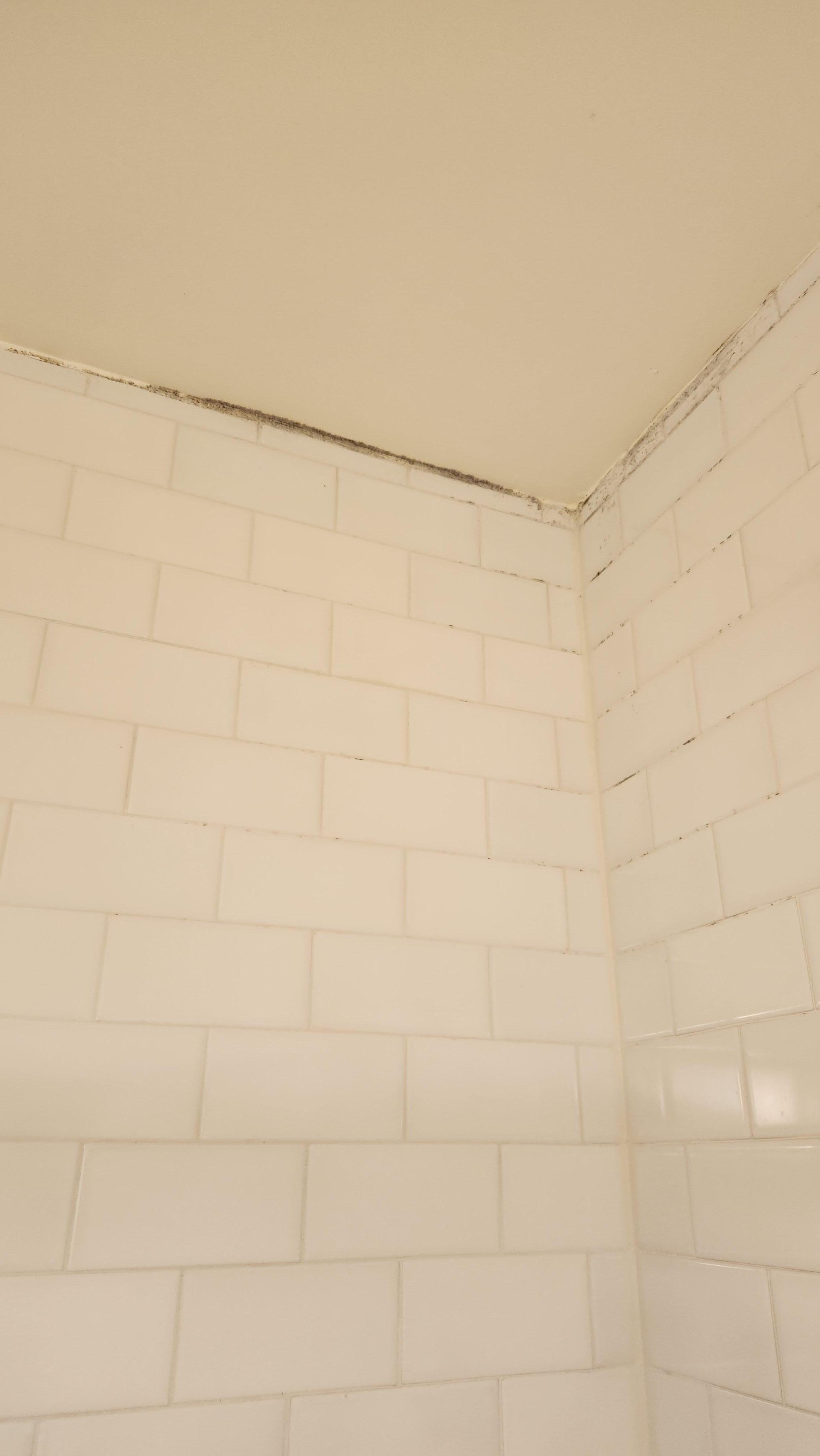 Mold