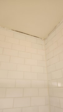 Mold