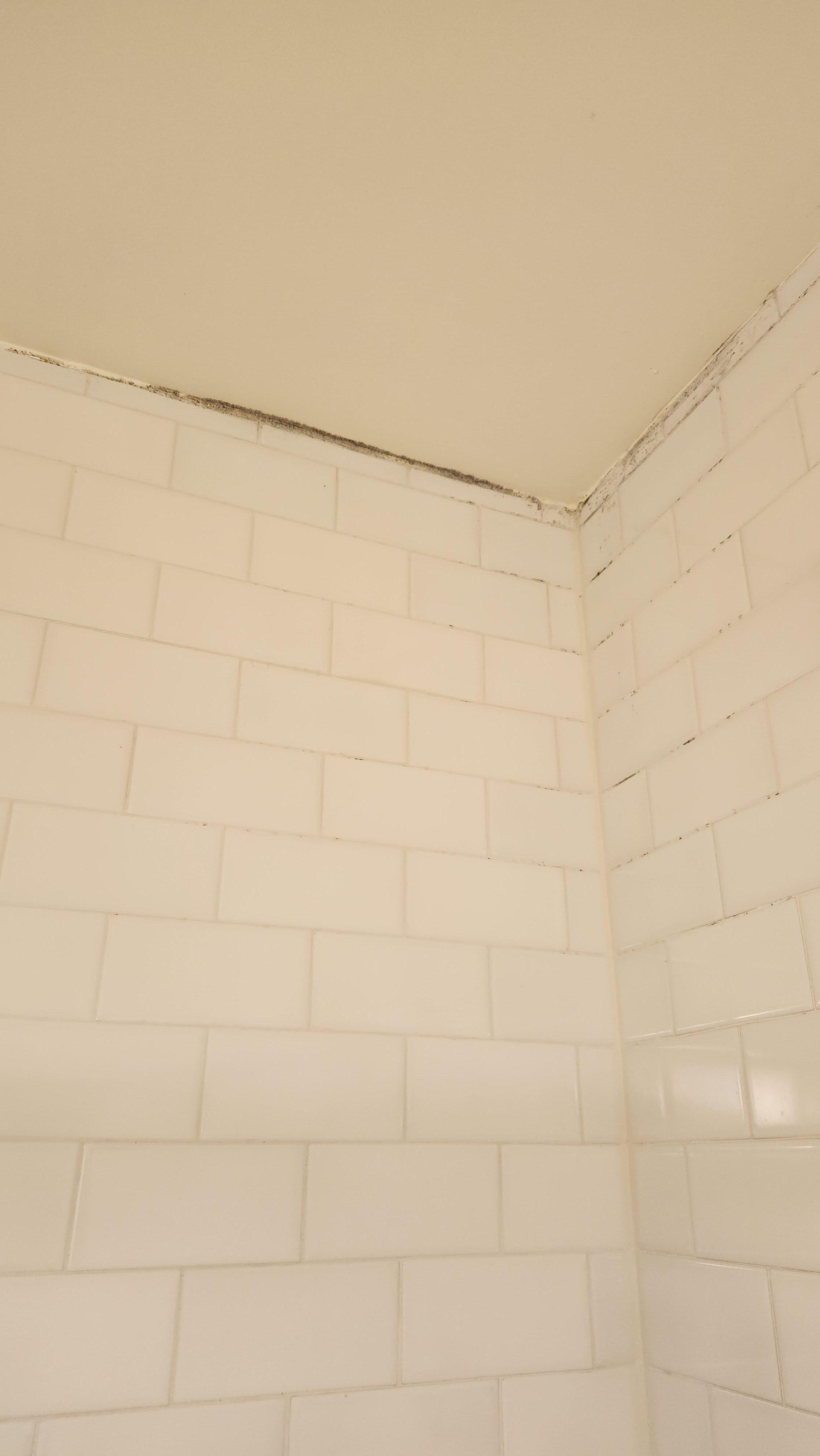 Mold