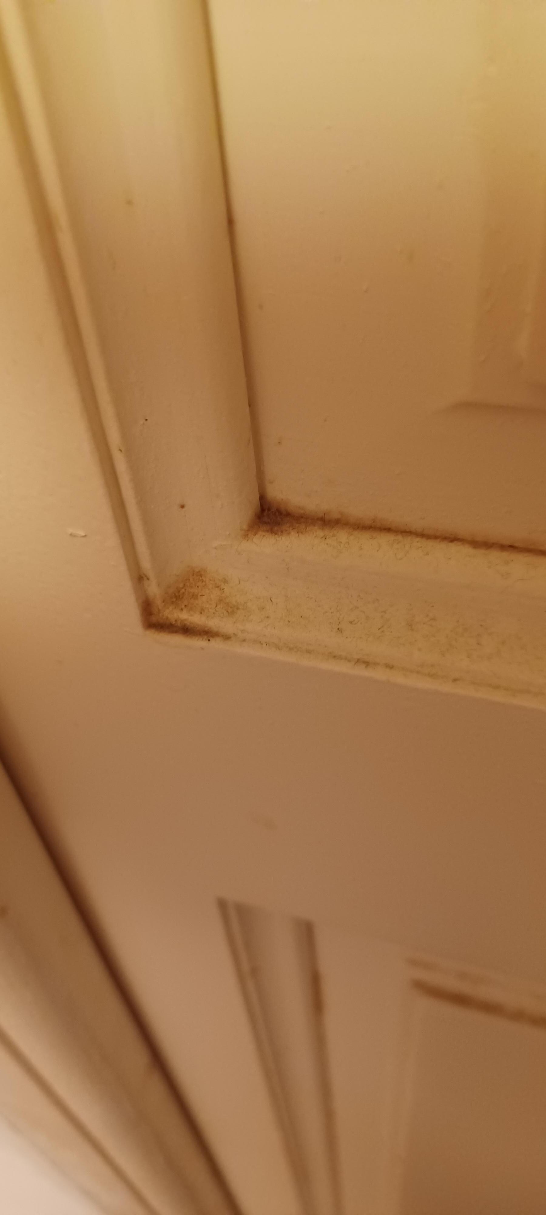 dusty dirt on all surfaces
