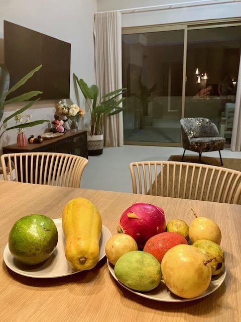 at the evening in the living room