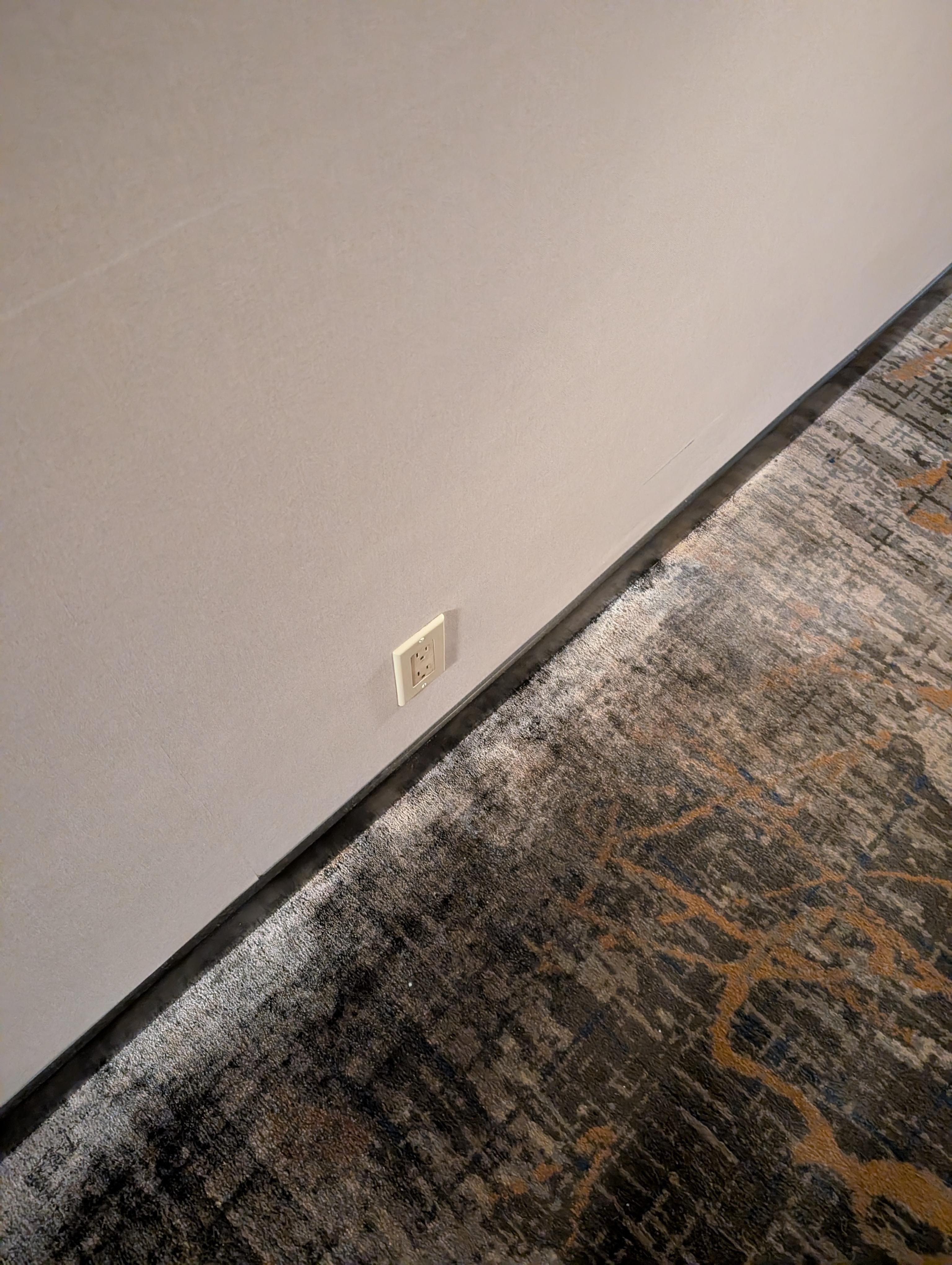 Carpet was water soaked and moldy 