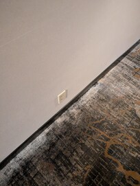 Carpet was water soaked and moldy