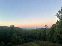 View from the back porch over the blueberry farm.