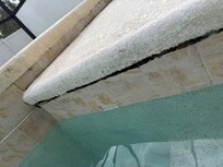 Black mold on pool siding