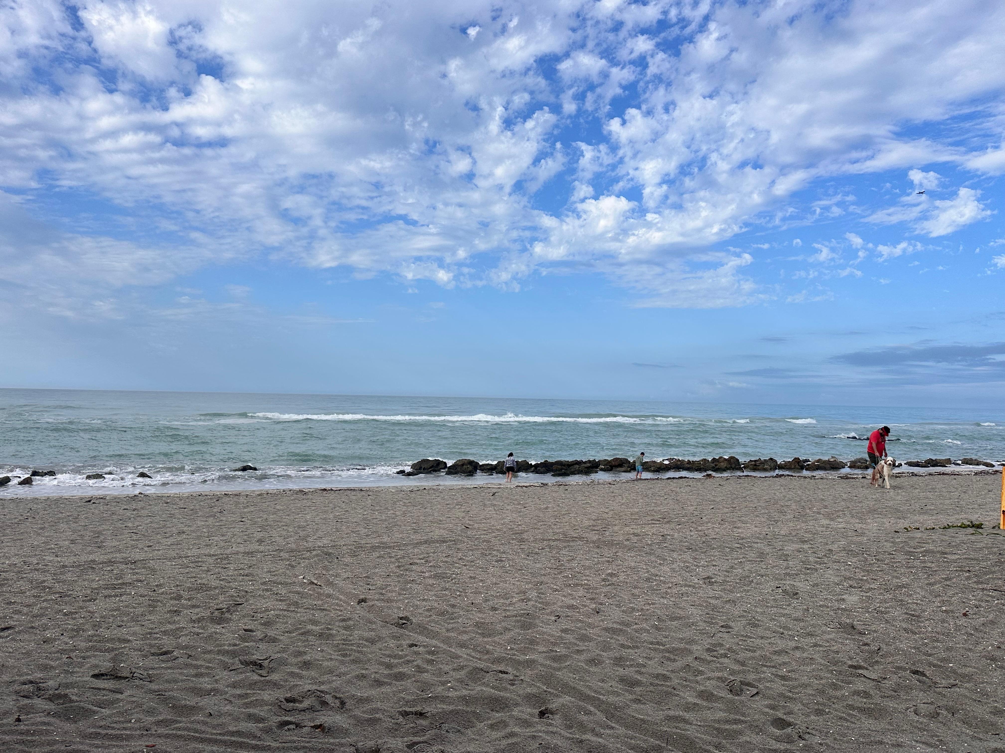 The dog beach was a hit with our dog.  