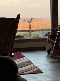 We had a visitor one evening.