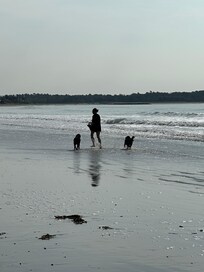 Beautiful morning beach walk