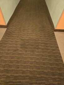 Stains in throughout 
the  hallway.