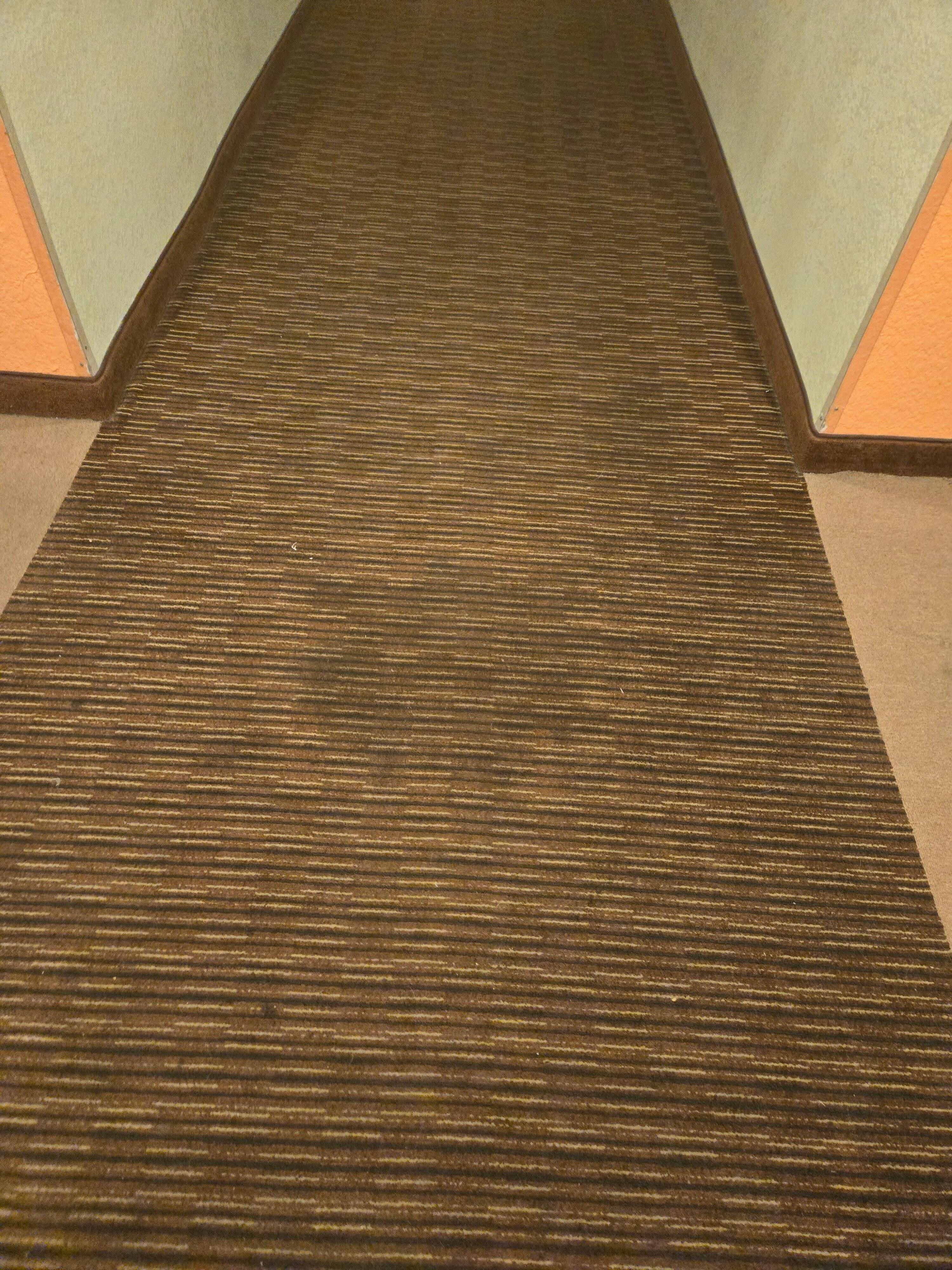 Stains in throughout 
the  hallway.