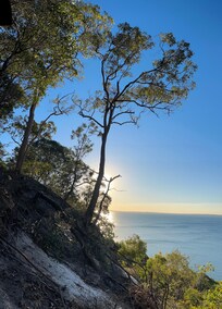 The walk to the top of the hill in the bay