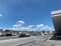 市場食堂行ってきました!