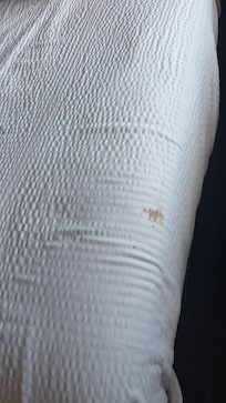 One of the dirt spots on the bed sheets when I first got there