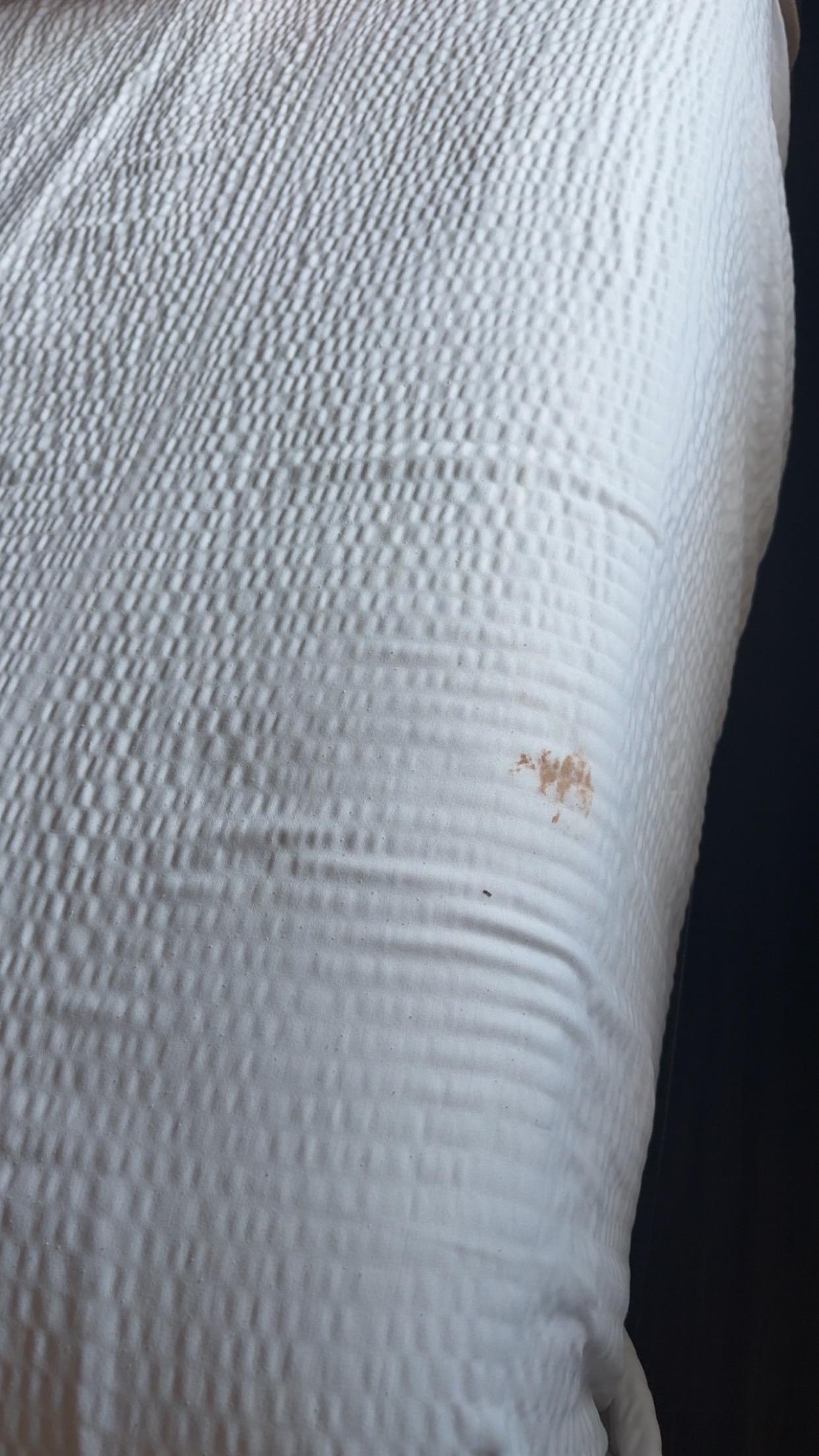 One of the dirt spots on the bed sheets when I first got there