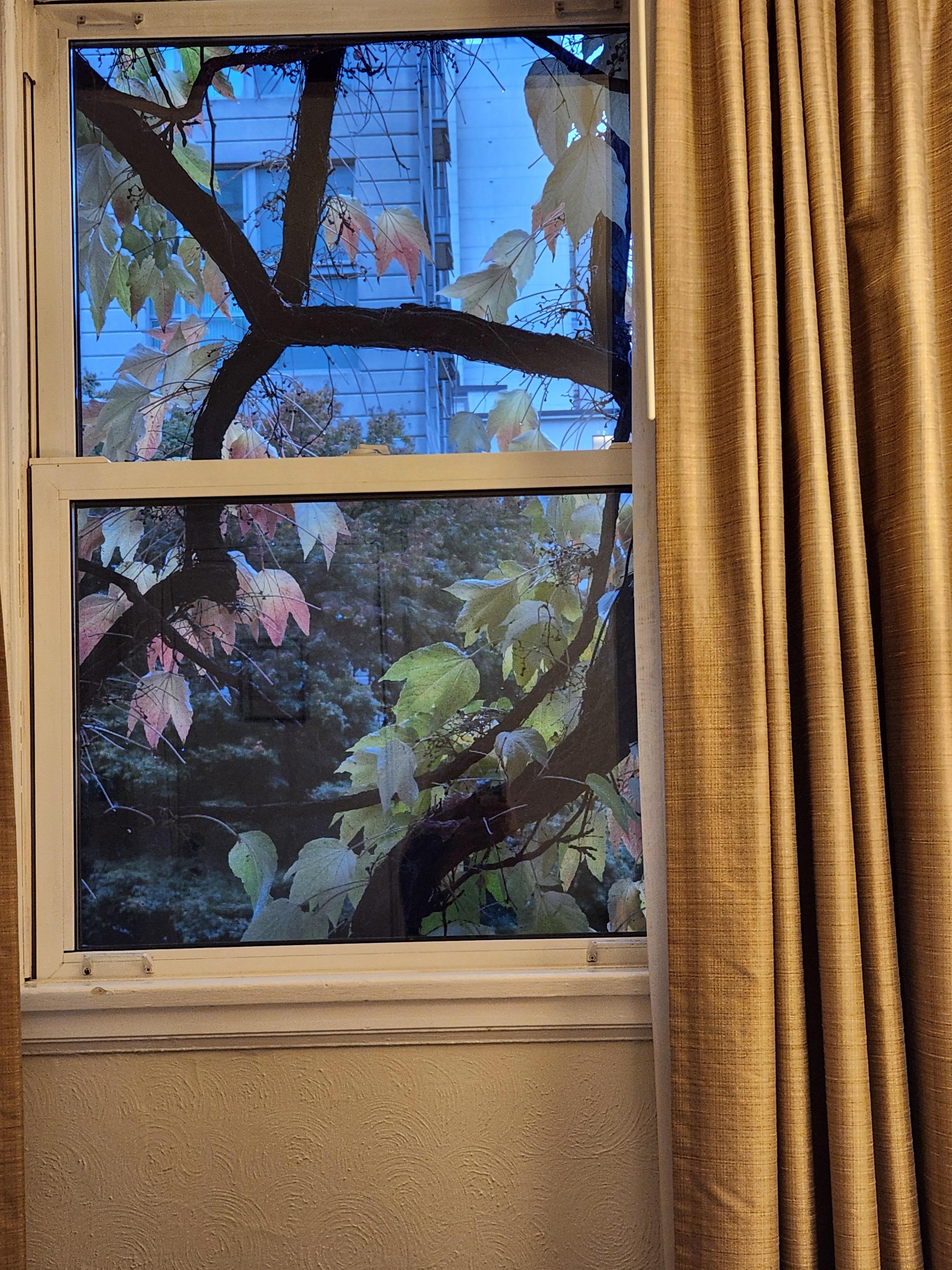 Fairytale like views from our room.