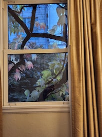 Fairytale like views from our room.