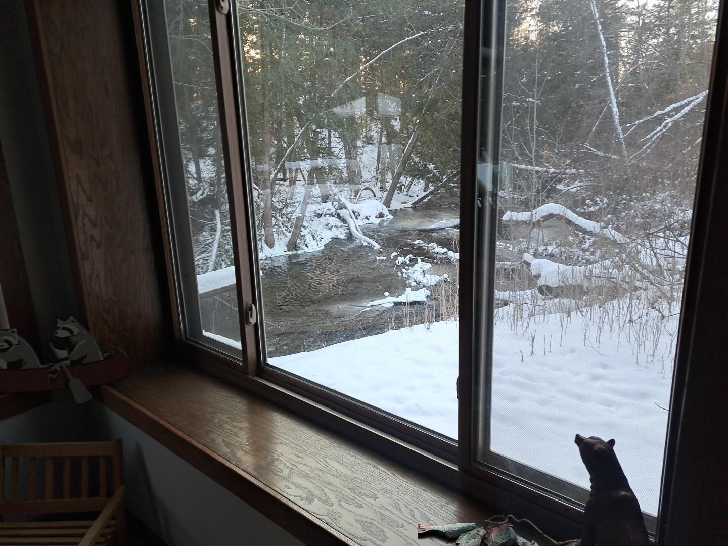 A view of the river where deer were hanging out.