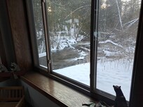 A view of the river where deer were hanging out.