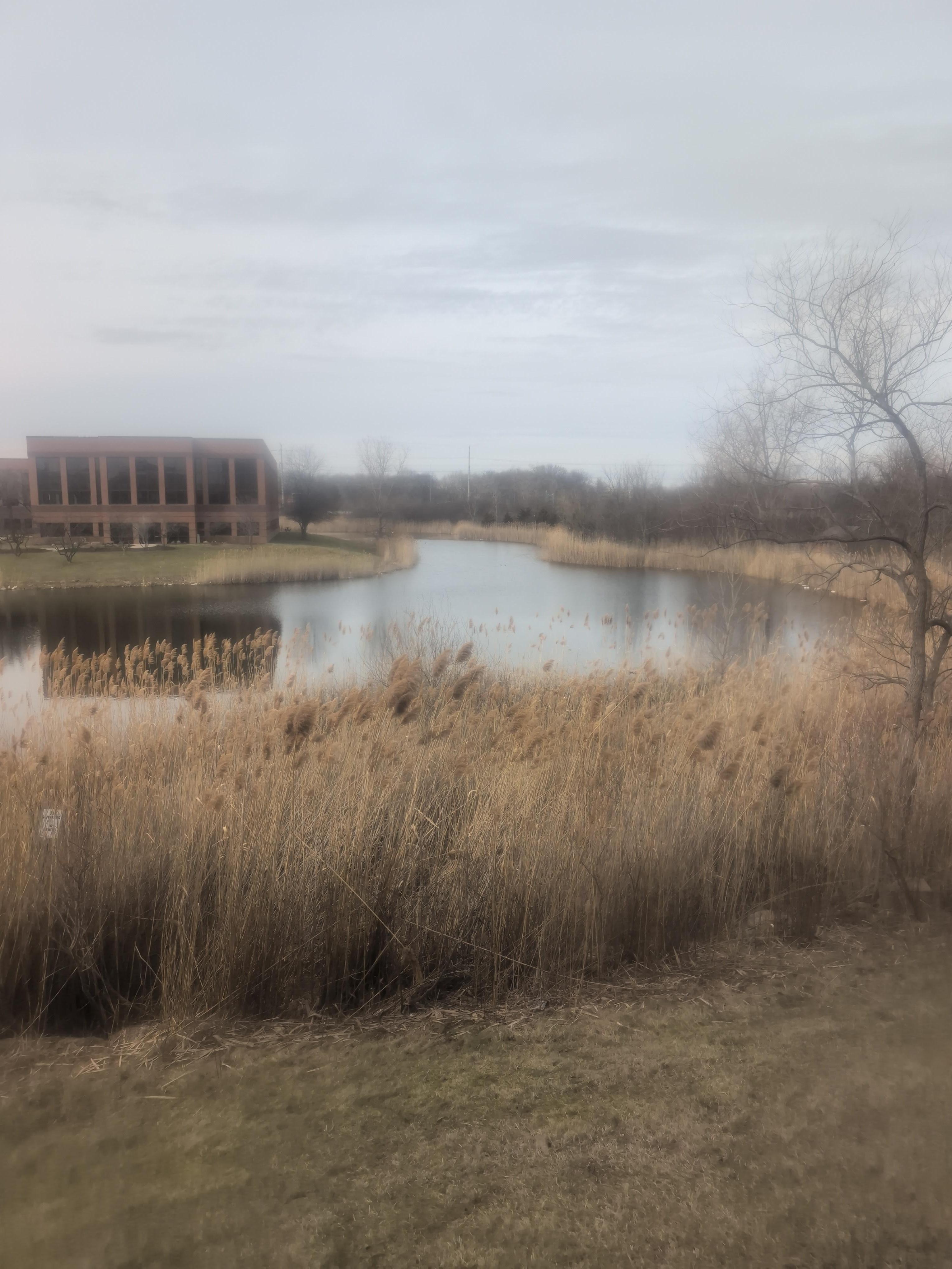 View from my room at Novi Michigan.