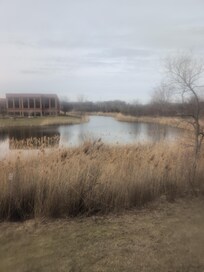 View from my room at Novi Michigan.