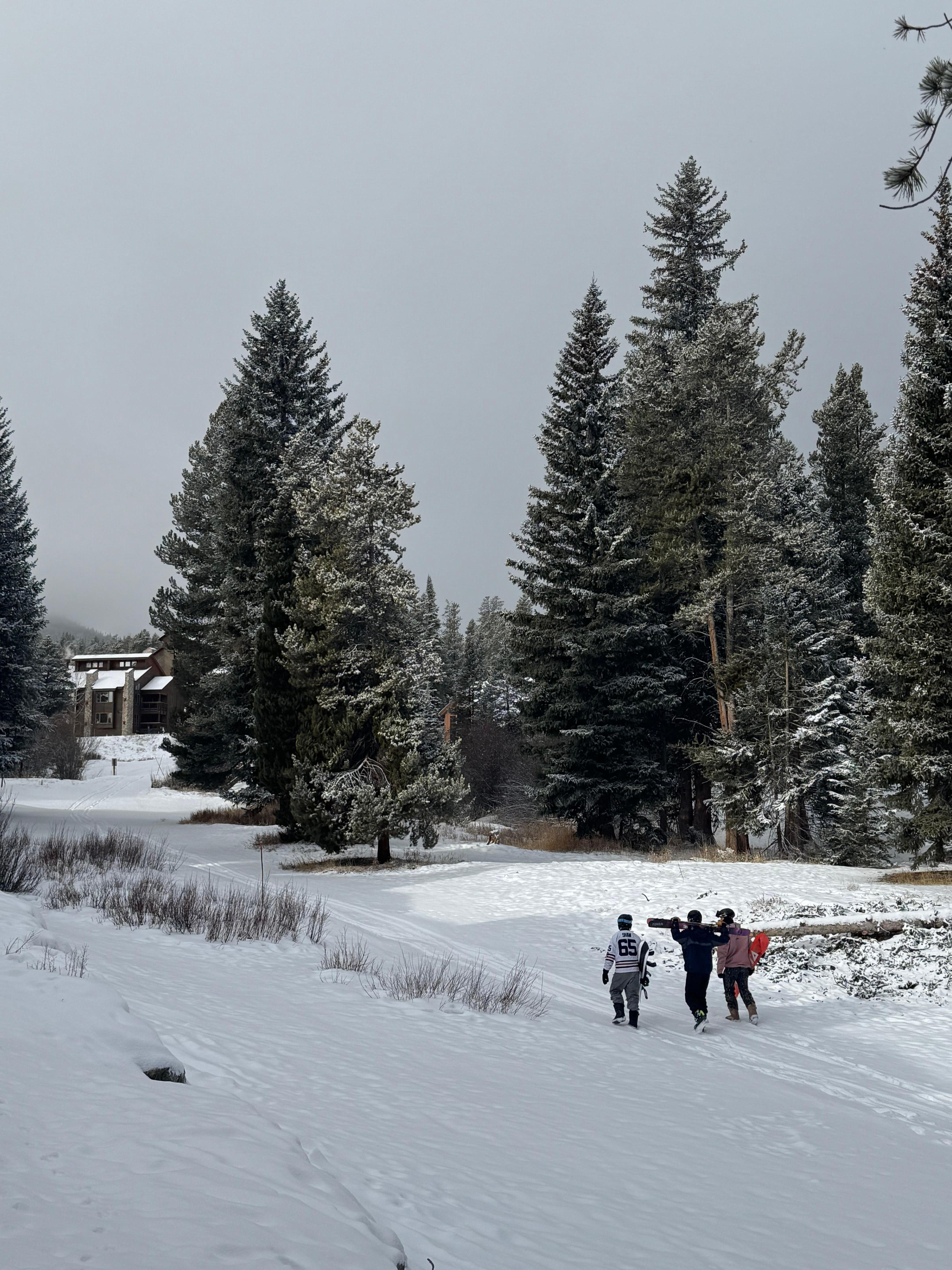 Literally walking up to lift