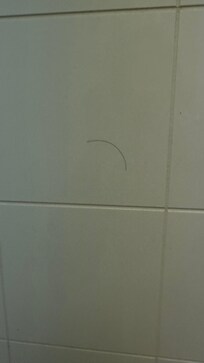 Not even our hair in the shower, some other person’s hair in the shower.
