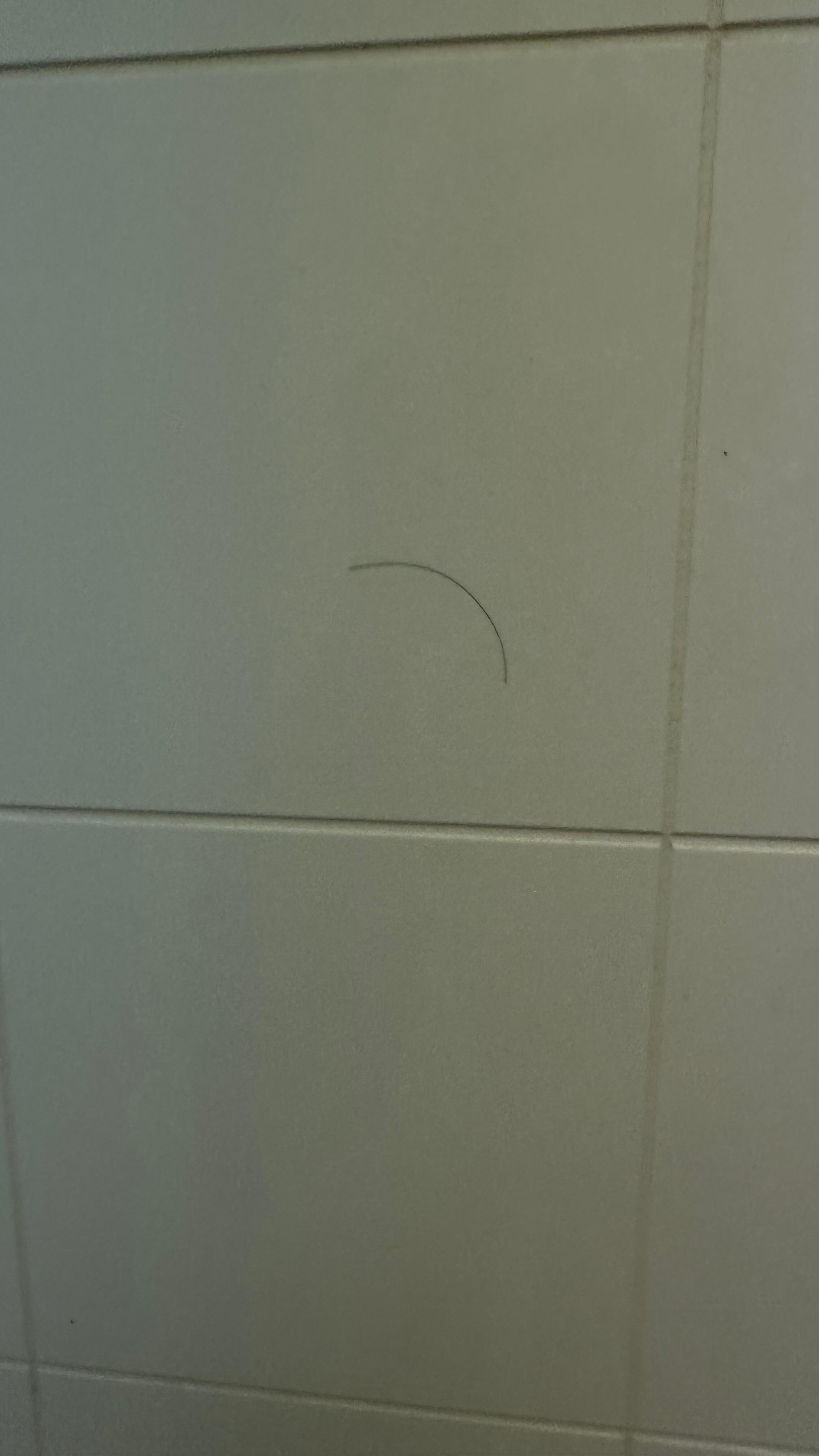 Not even our hair in the shower, some other person’s hair in the shower.