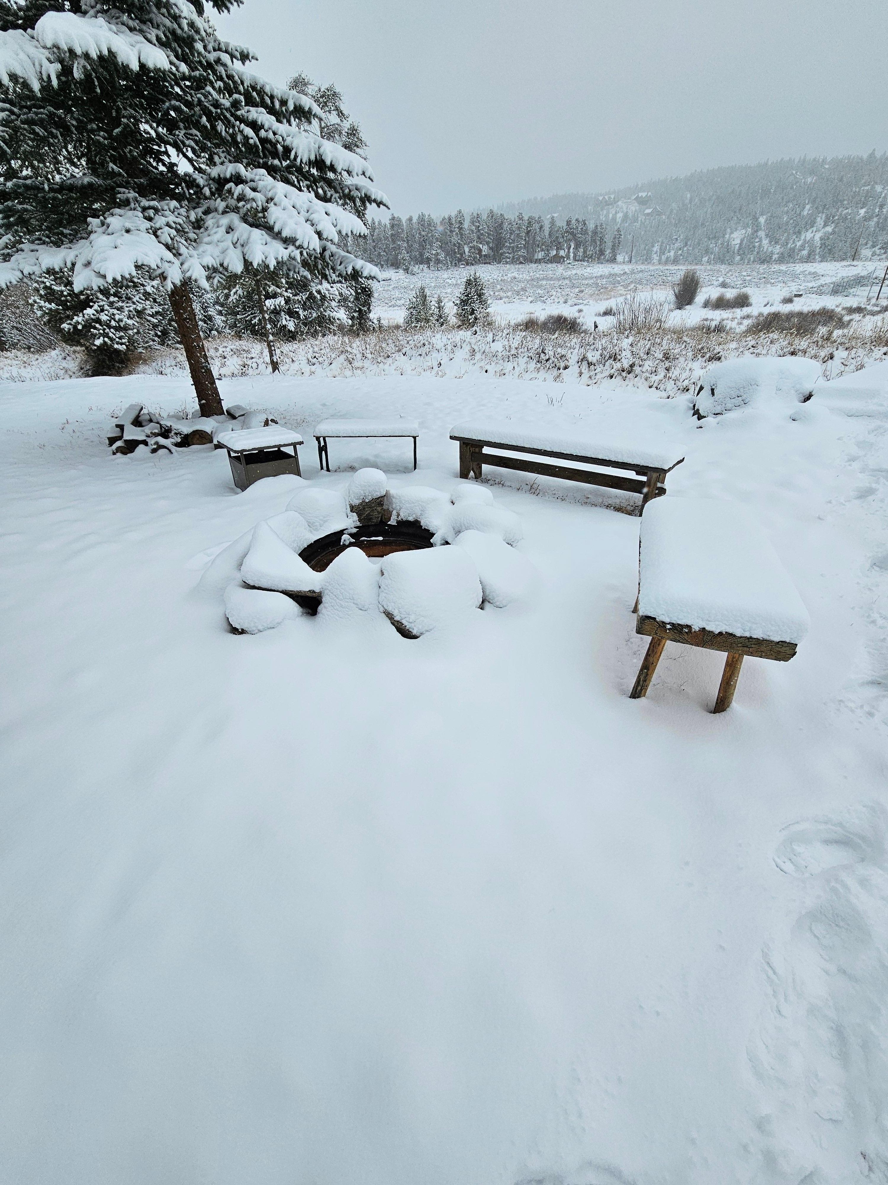 View of the back yard