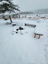 View of the back yard