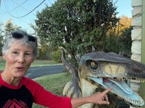 Raptors and more