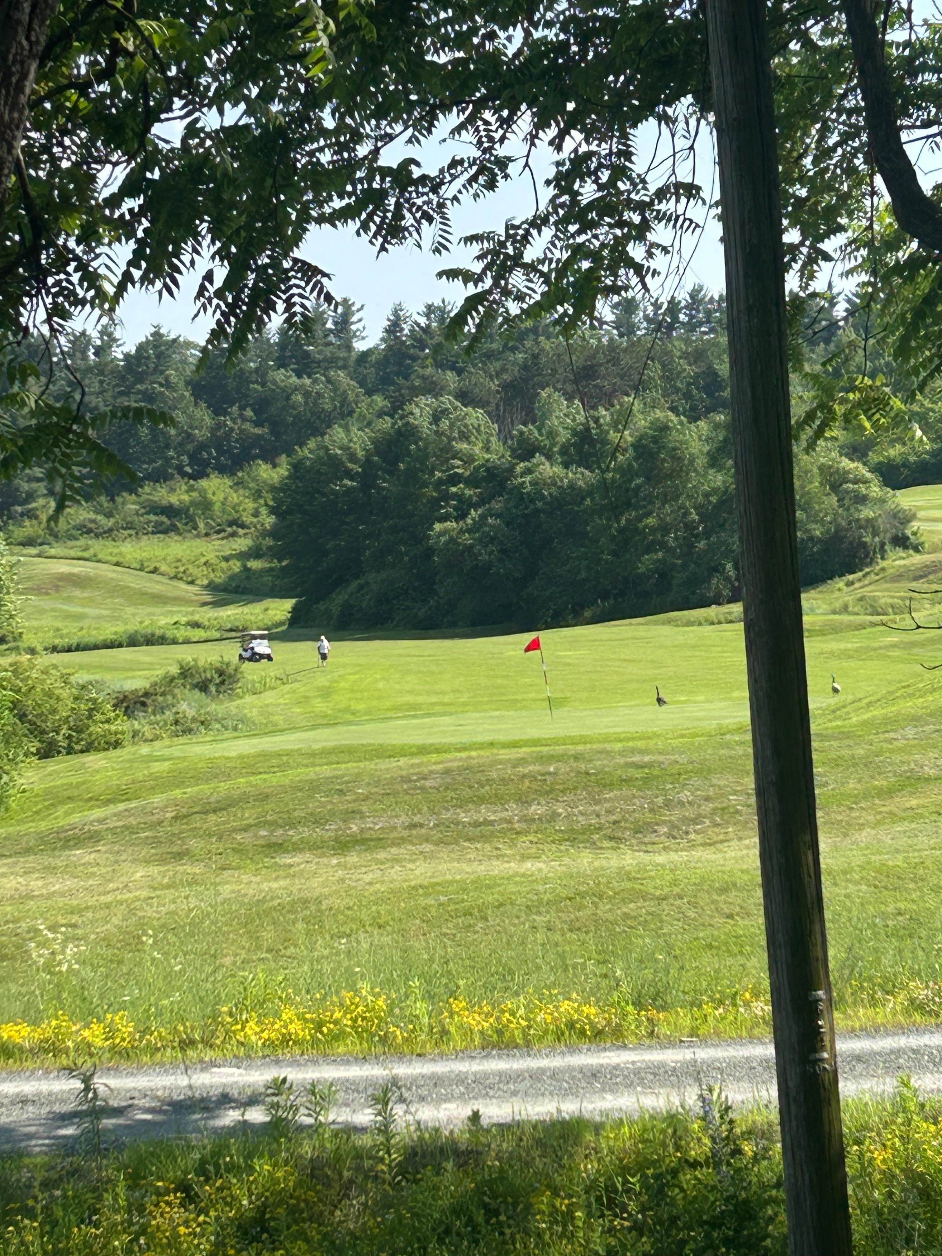 Golf course across st 