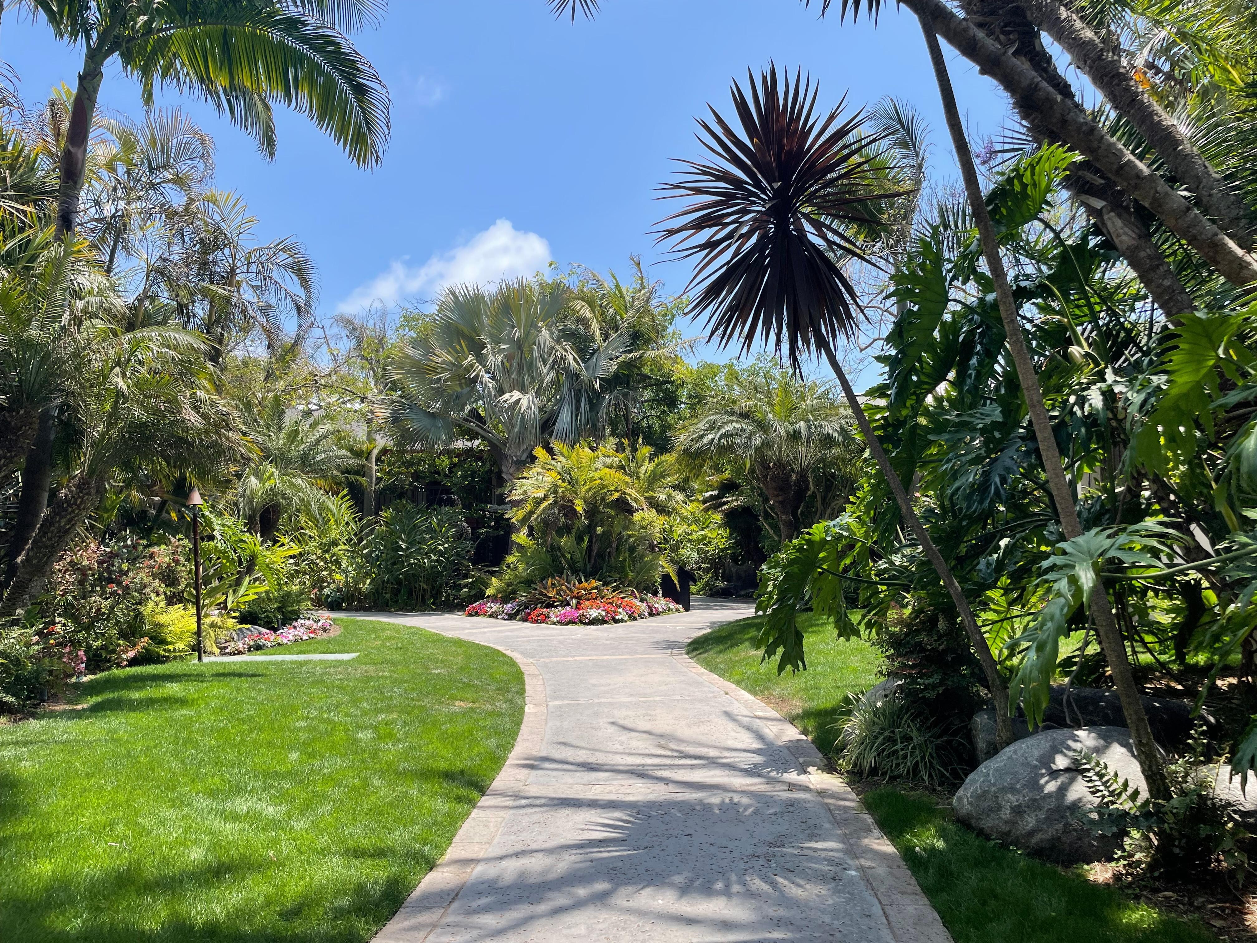 Garden area in the resort