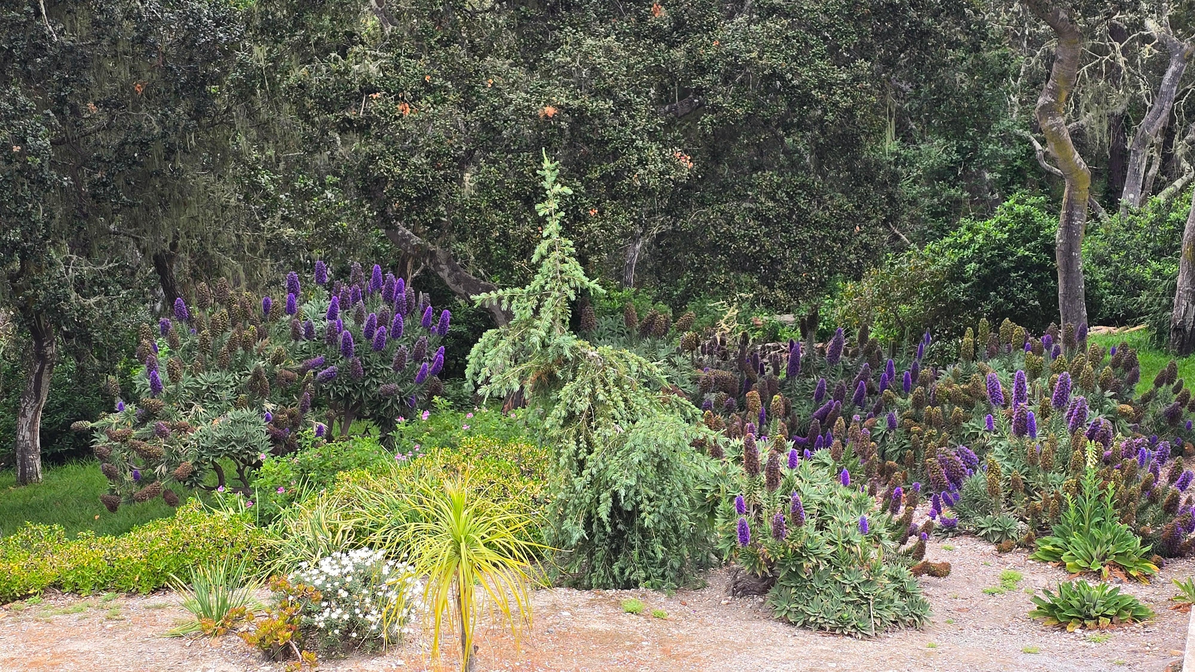 a bit of the gardens